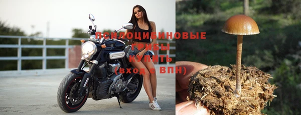 дживик Абинск