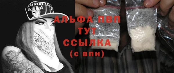 дживик Абинск
