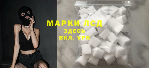 СК Алексин