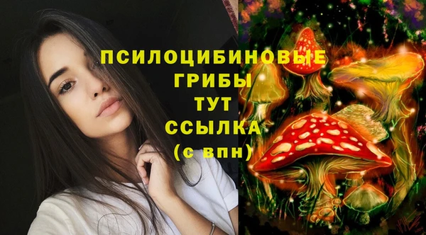 героин Алзамай