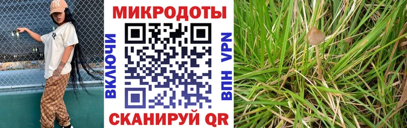 Псилоцибиновые грибы Psilocybine cubensis Мыски